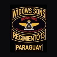Icono oficial de WSR13